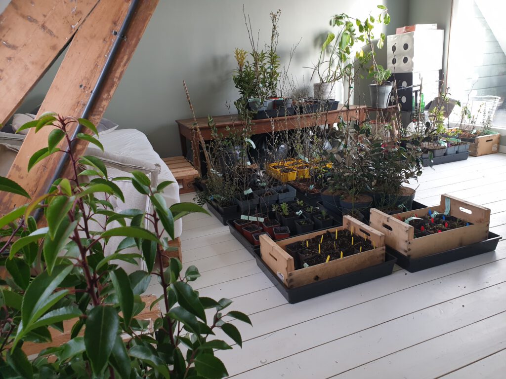 Farmgully - eerste update - biodiversiteit